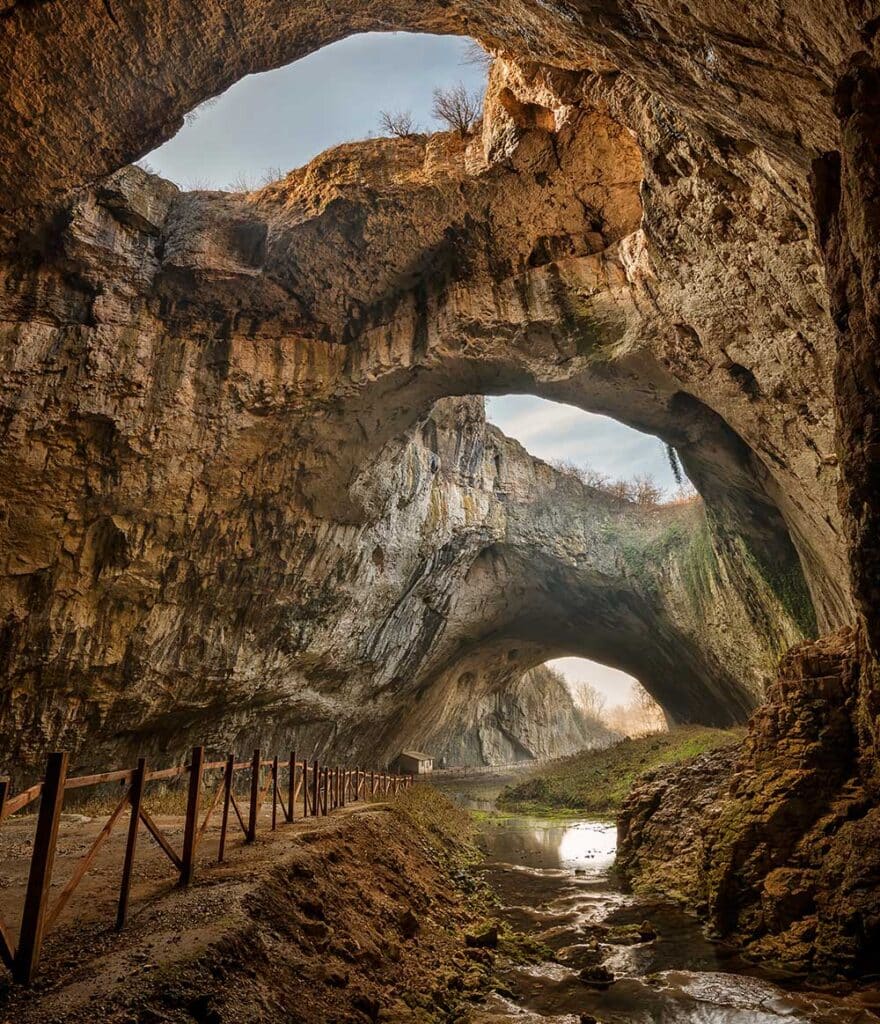 the cave potrait